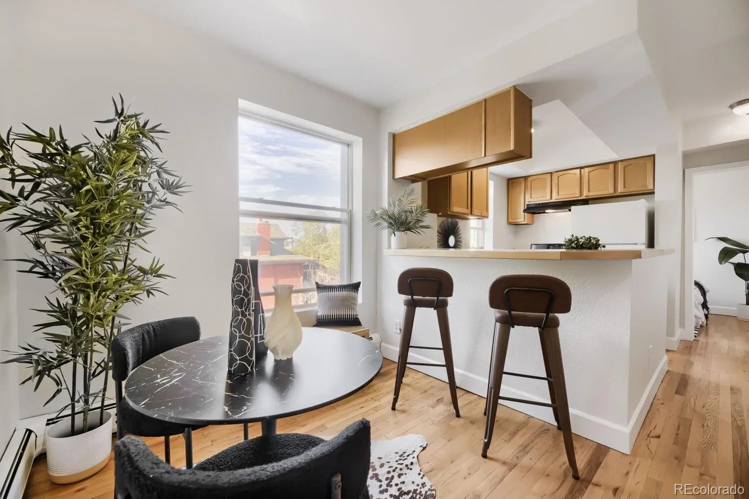 1629 N Clarkson Street Unit 34, Denver, Colorado 80218