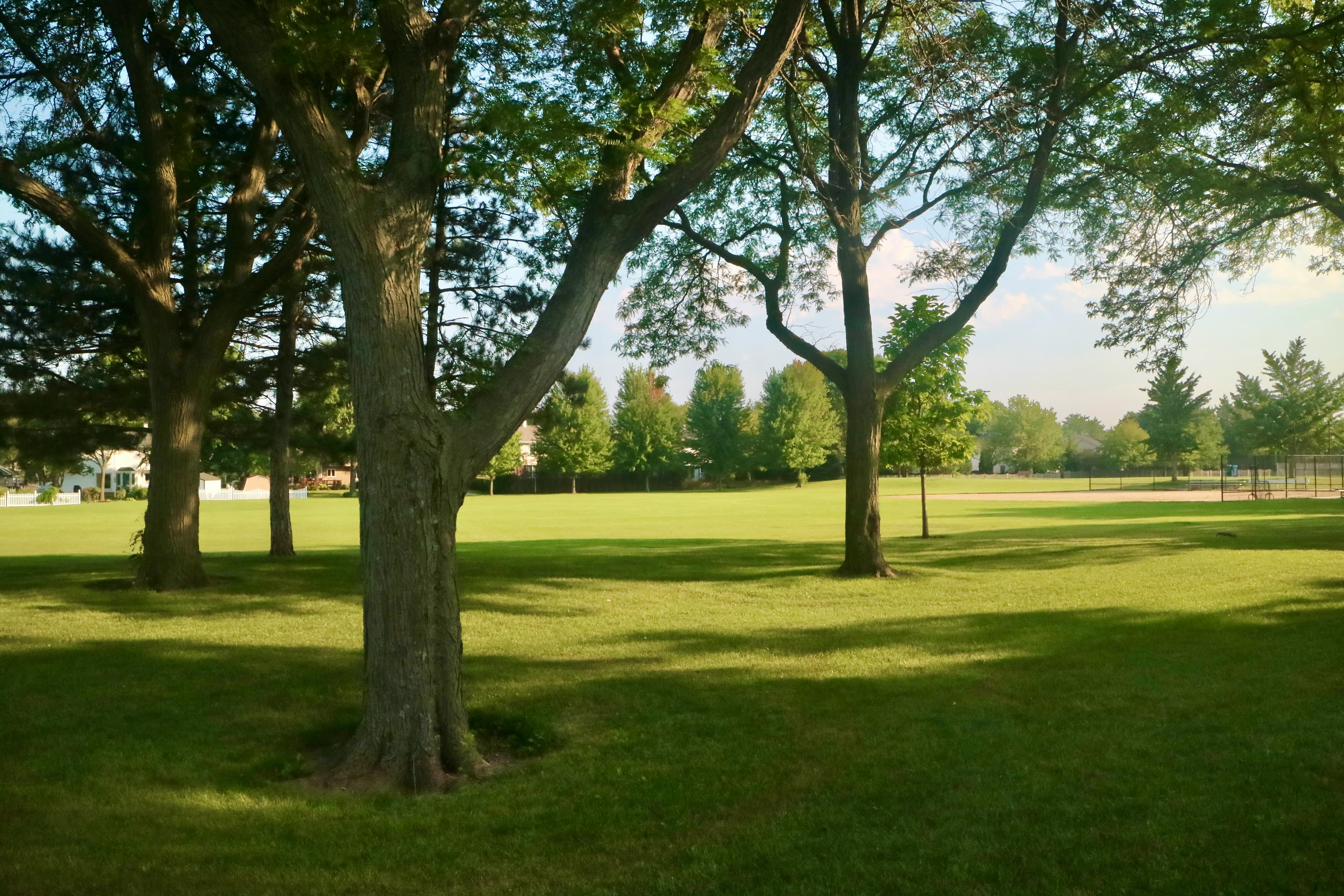Best Neighborhoods in Denver for Families