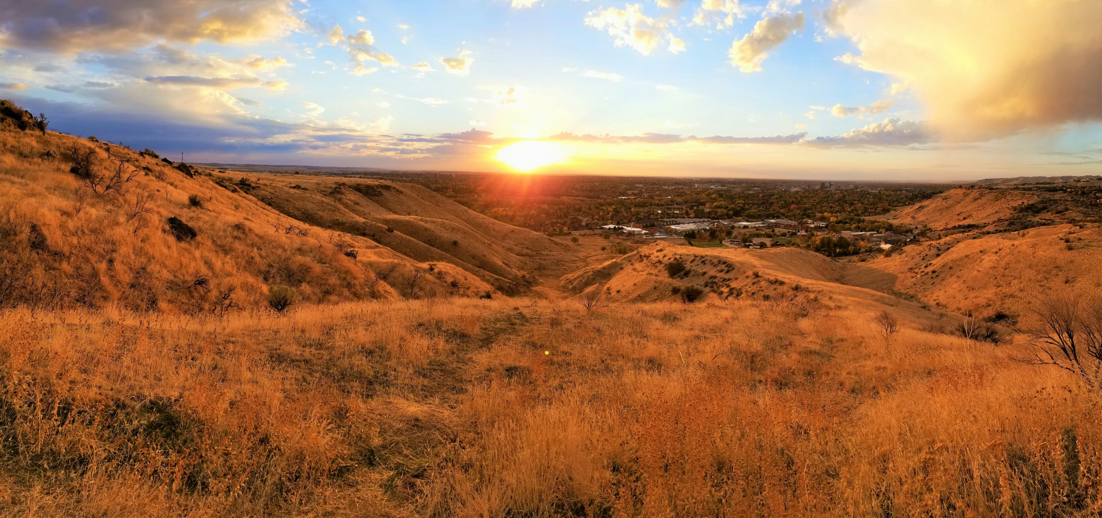 Homes in Morrison, CO