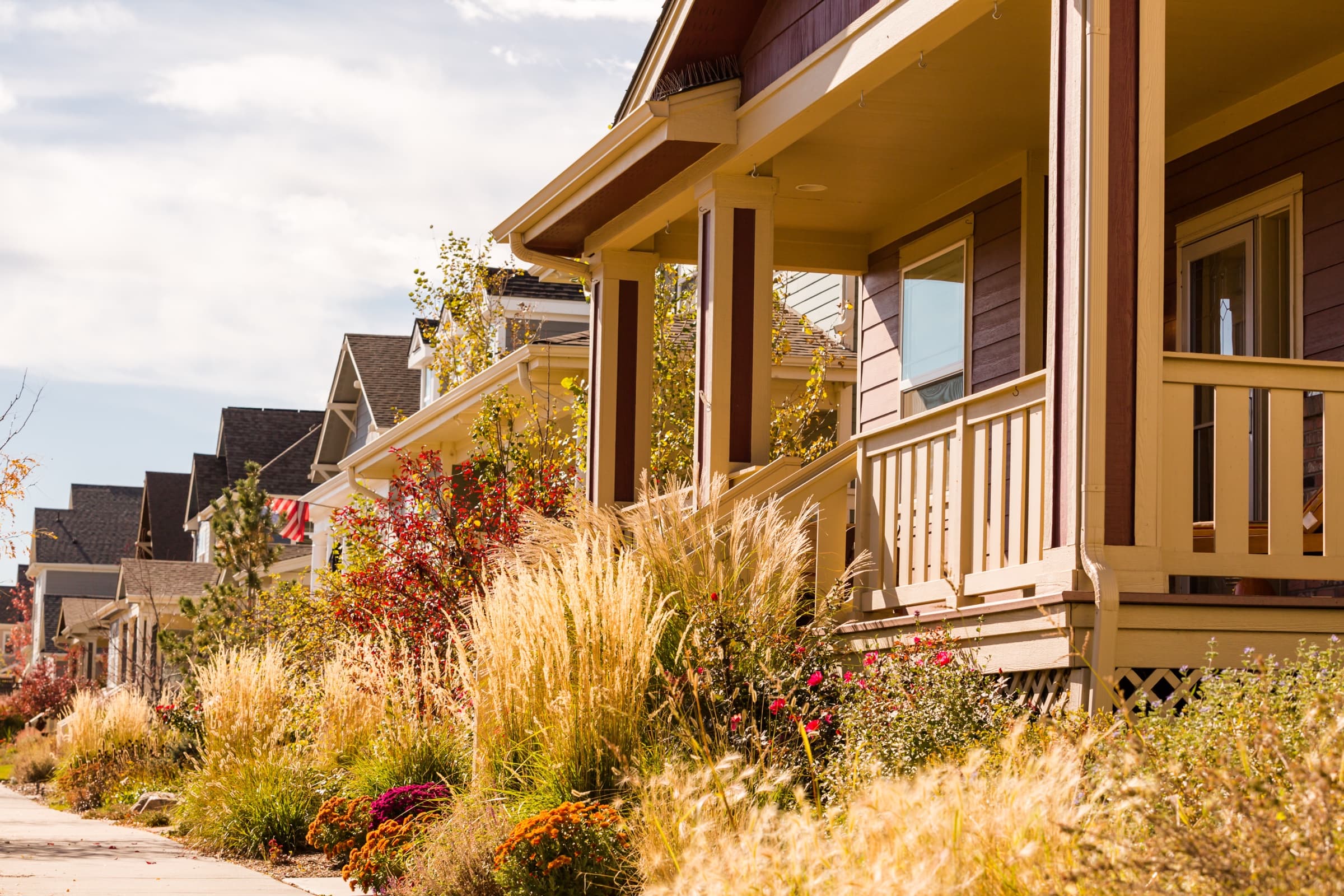 Streetscape and homes in Central Park, Denver