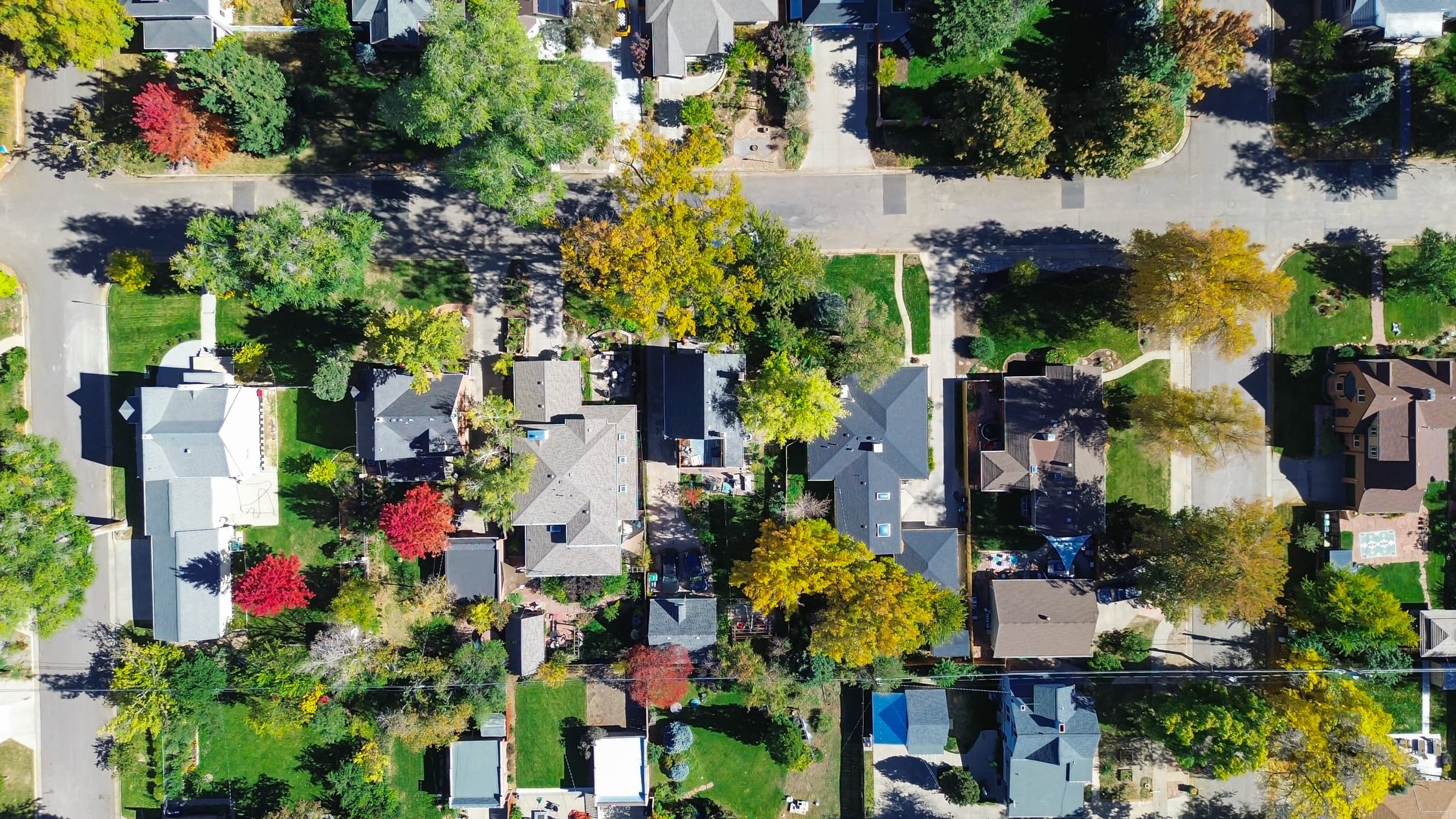 Streetscape and homes in Hale, Denver