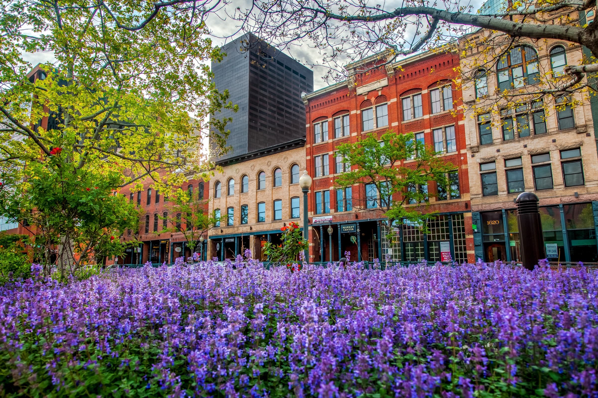Streetscape and homes in LoDo, Denver