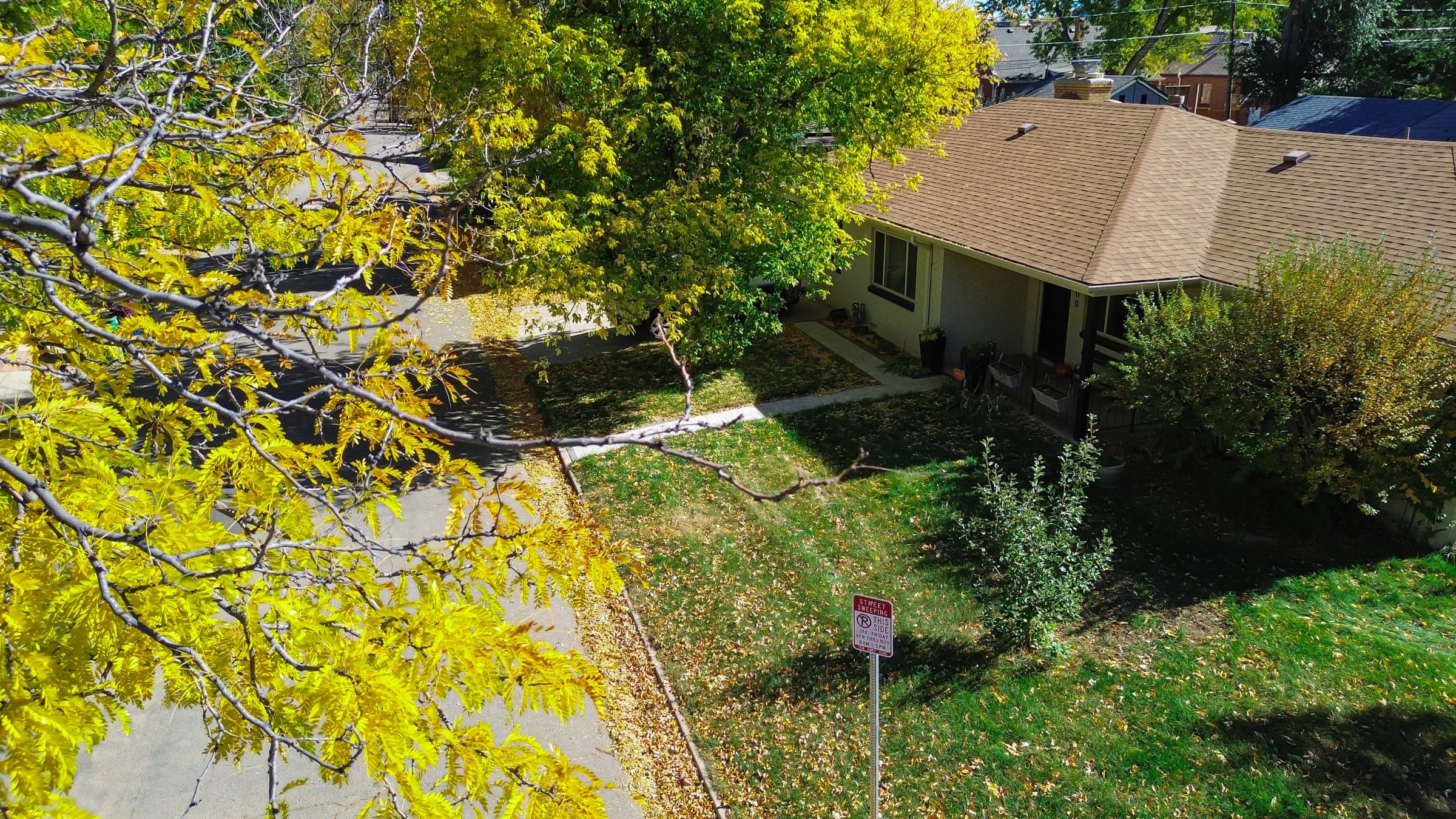 Streetscape and homes in Montclair, Denver