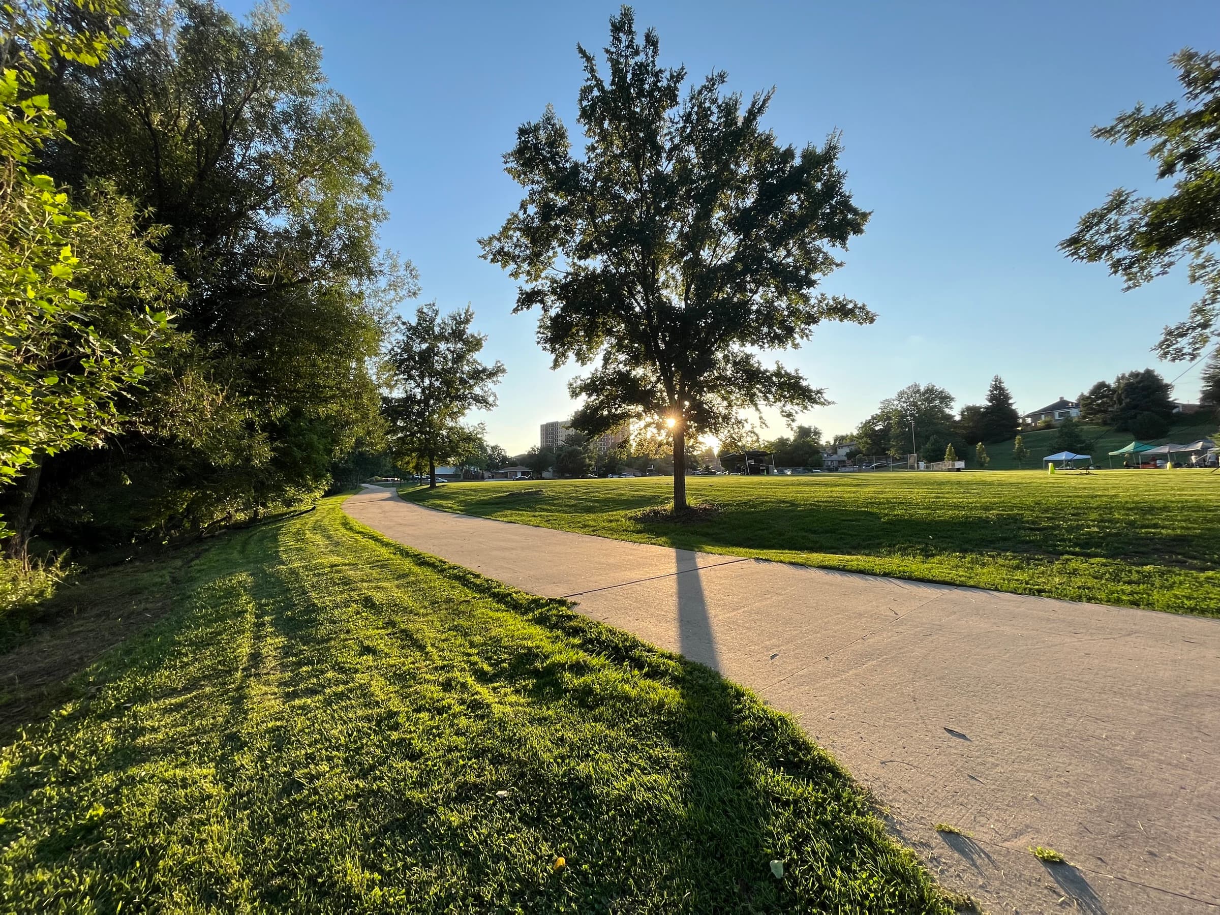 A walking path curving past open lawn and shade trees in Joseph P. Martinez Park, Villa Park, Denver