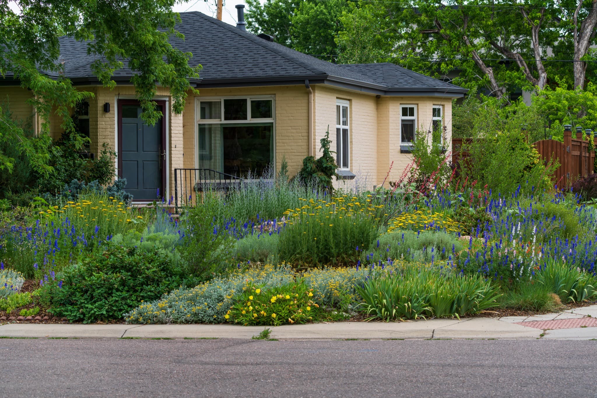 One-story brick home with a front garden of blue and yellow wildflowers